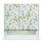 Зелёный бамбук