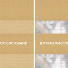 Basic карамель NEW